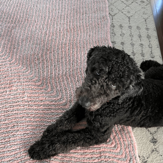 Ruby’s Mitered Square Blanket - Couverture
2