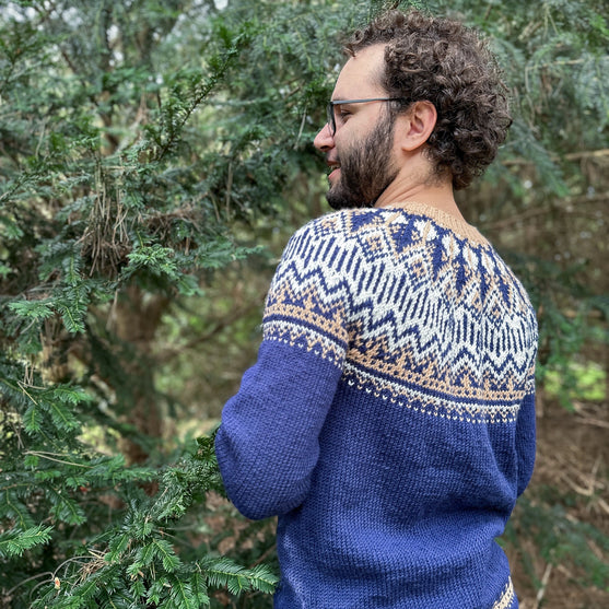Arctic Starry Night - Pull Unisexe
2