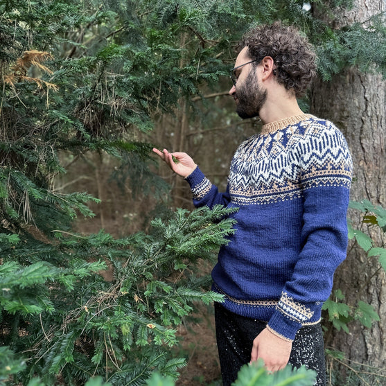 Arctic Starry Night - Pull Unisexe
3