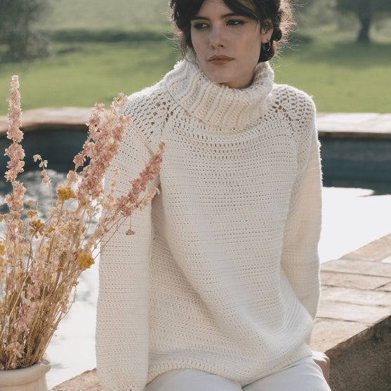 6183-40 Pull col roulé à manches raglan en crochet
2