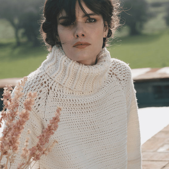 6183-40 Pull col roulé à manches raglan en crochet
3