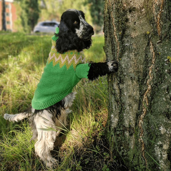 Cocker Spaniel - Pull pour Chien
3