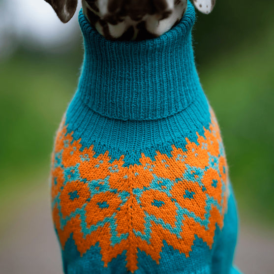 Dalmatien - Pull pour Chien
3