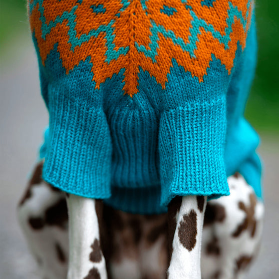 Dalmatien - Pull pour Chien
4