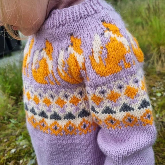 Happy Fox - Pull enfant
5