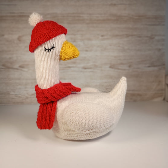 Oie d’Hiver
6