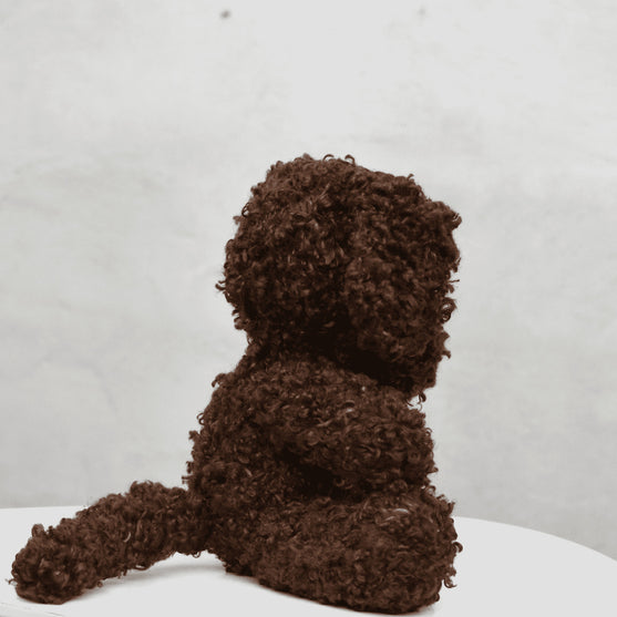 Cavapoo
3