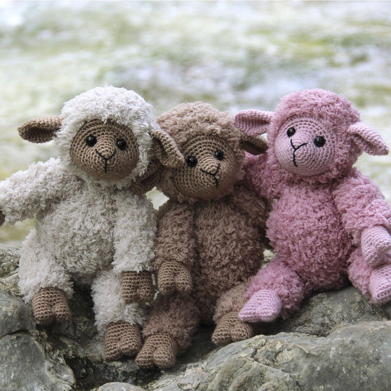 Teddy Basserne
2
