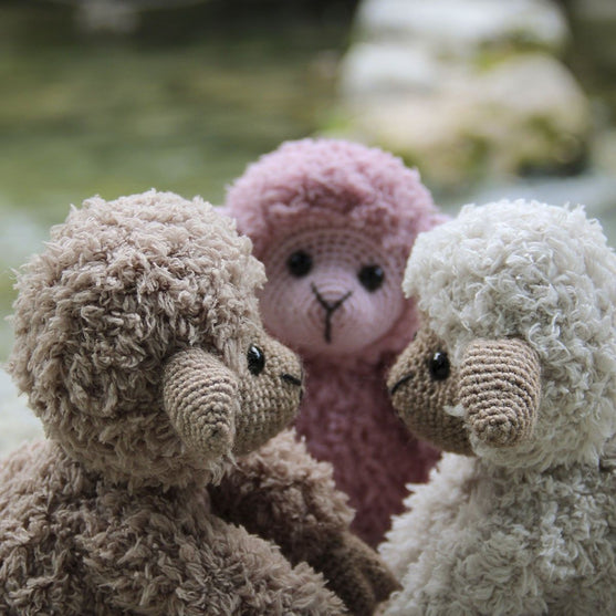 Teddy Basserne
5