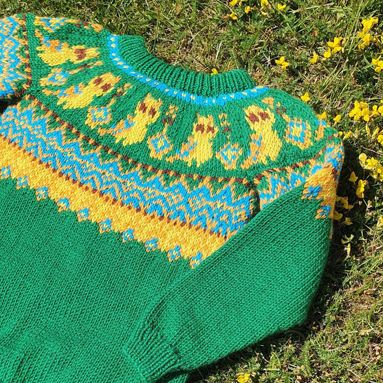 Silly Owl - Pull Enfant
5