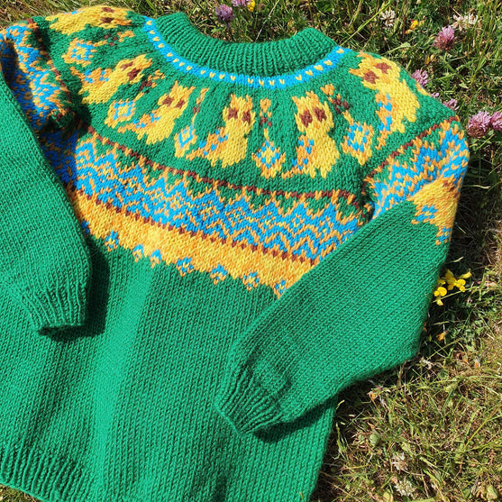 Silly Owl - Pull Enfant
3