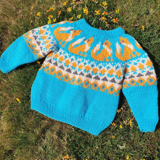 Happy Fox - Pull enfant
6