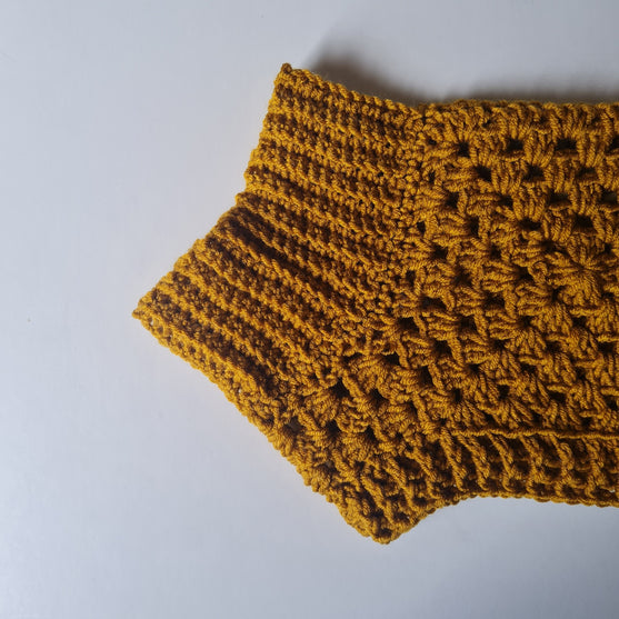 Wally - Pull pour Chien
6