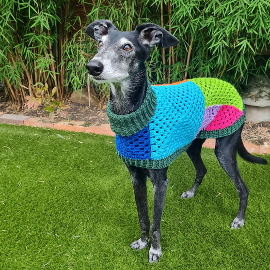 Wally - Pull pour Chien
4