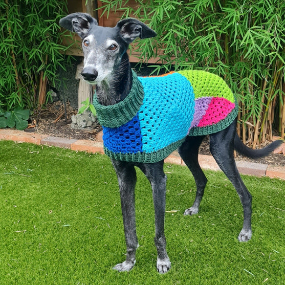 Wally - Pull pour Chien
3