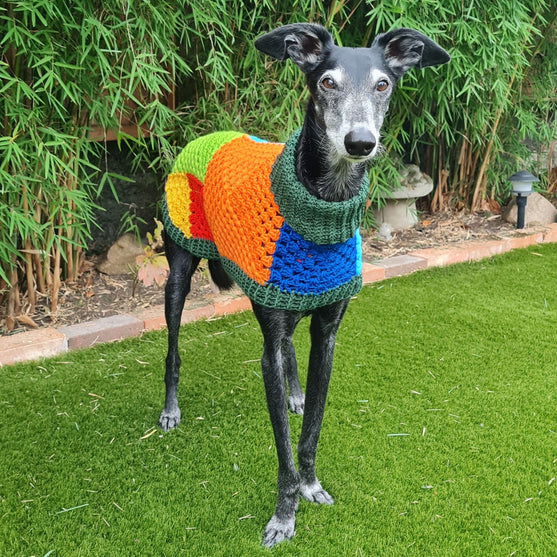 Wally - Pull pour Chien
2