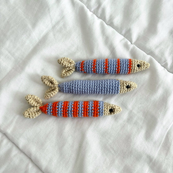 Porto Sardines - Sardine
2