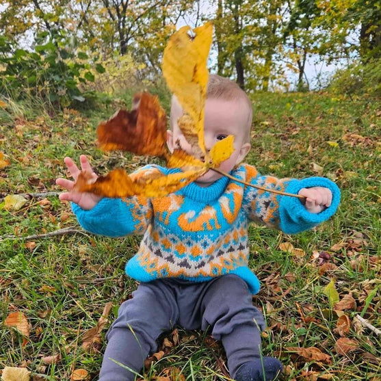 Happy Fox - Pull enfant
2