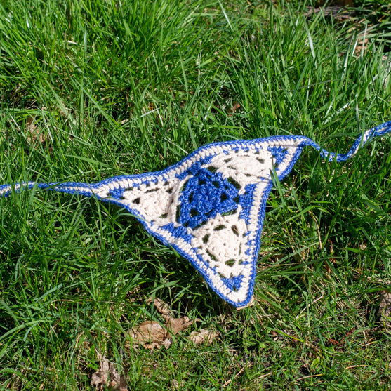 Gina - Bandana Dog
3