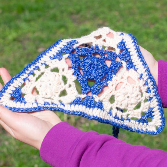 Gina - Bandana Dog
5