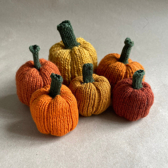 Mini-citrouilles - Petites courges de décoration
7