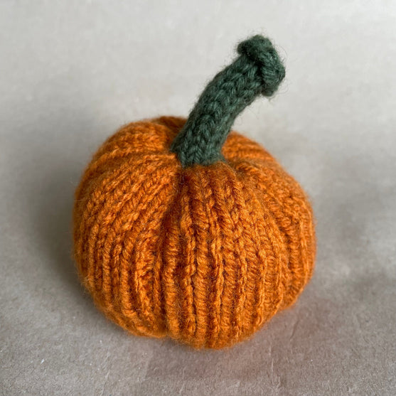 Mini-citrouilles - Petites courges de décoration
6