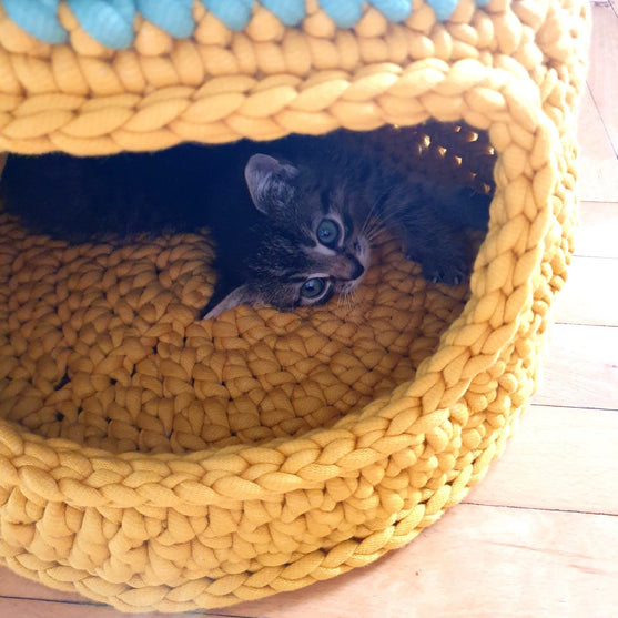 Purrfect - Maison pour chat
2