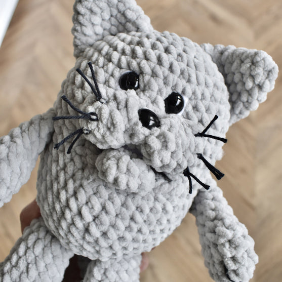 Misse le chat
7