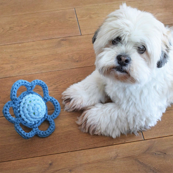 Fleur – Jouet pour chien
2