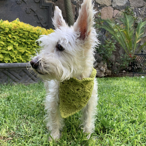 Cuddly Wrap - Bandana pour Chien
4