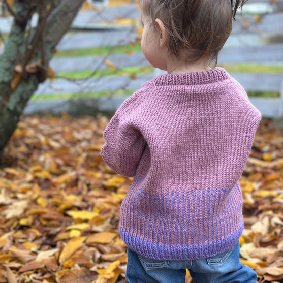 Easy Colour Mix Sweater Junior - Pull
3