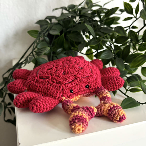 Mr. Claws - Crabe
4