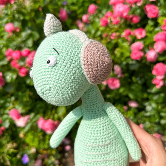 Safi le dino
4