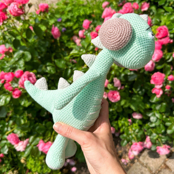 Safi le dino
5