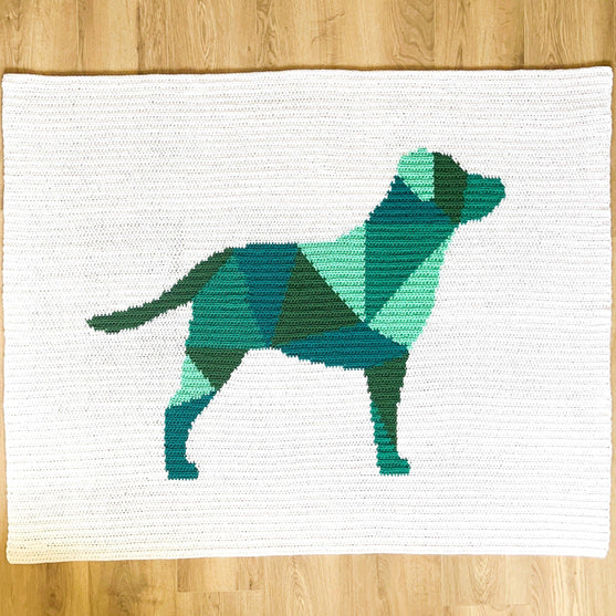 Labrador - Couverture
2