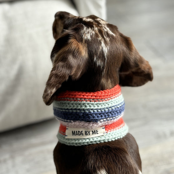 Wes - Écharpe pour chien
3