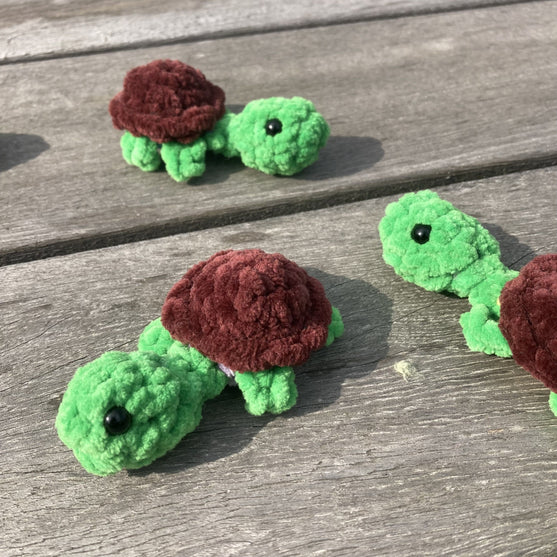 Rainbow Turtles - Jeu de mémoire
11