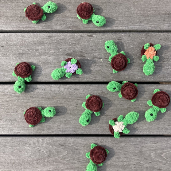 Rainbow Turtles - Jeu de mémoire
9