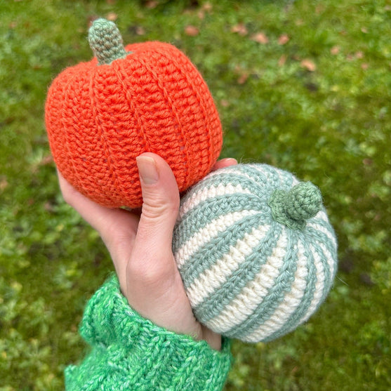 Courges Ornementales – Rondes
6