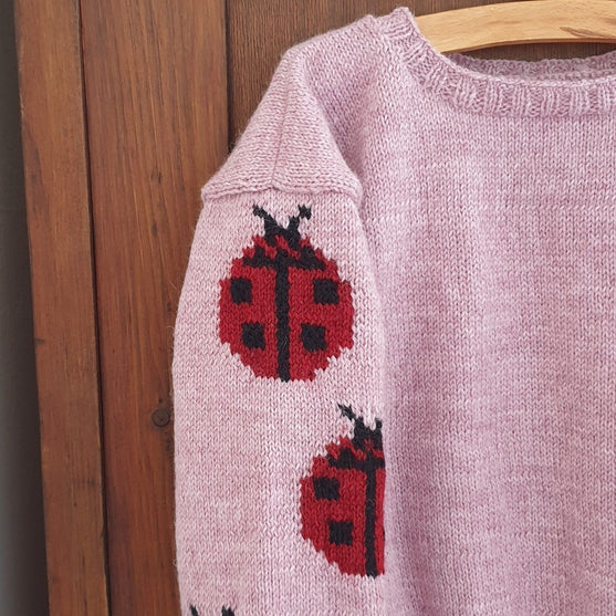 Ladybug - Pull Enfant
3