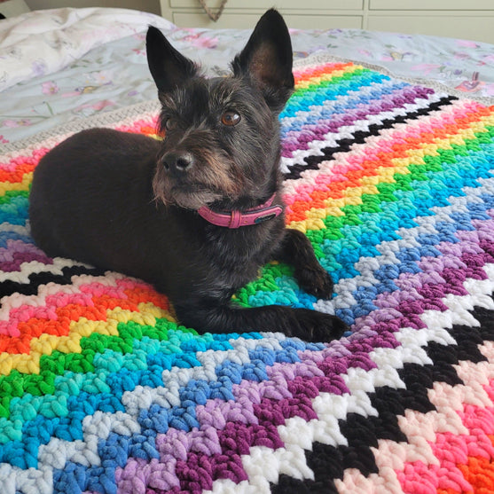 The Rainbow Cuddle Blanket - Couverture
5