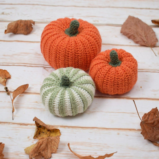 Courges Ornementales – Rondes
2