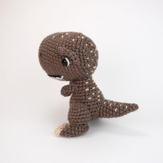 Troy le T-Rex
2