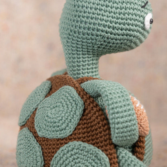 Theo la tortue
4