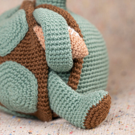 Theo la tortue
7
