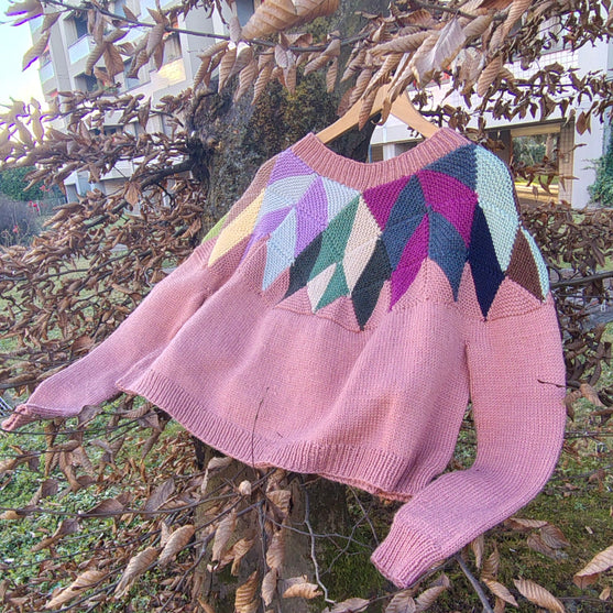 

Intarsia - Pull
2