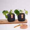 

Petit Cache Pot Ribbon
2