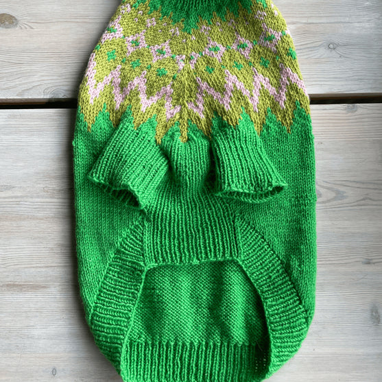 

Cocker Spaniel - Pull pour Chien
5