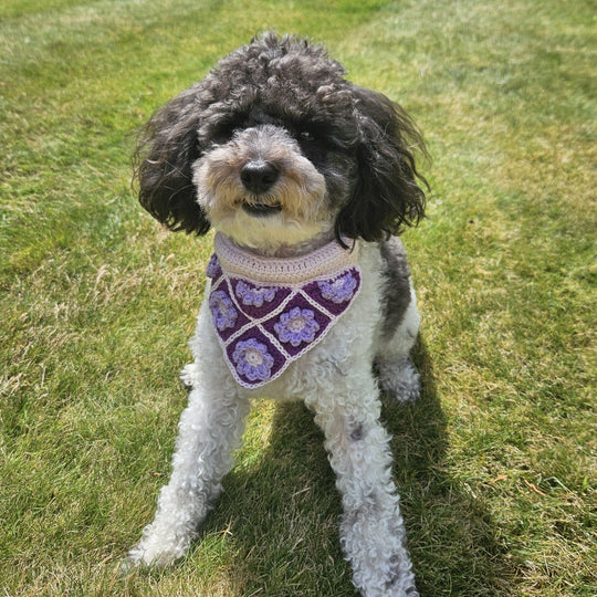 Millie’s - Bandana pour Chien