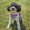 

Millie’s - Bandana pour Chien
1
